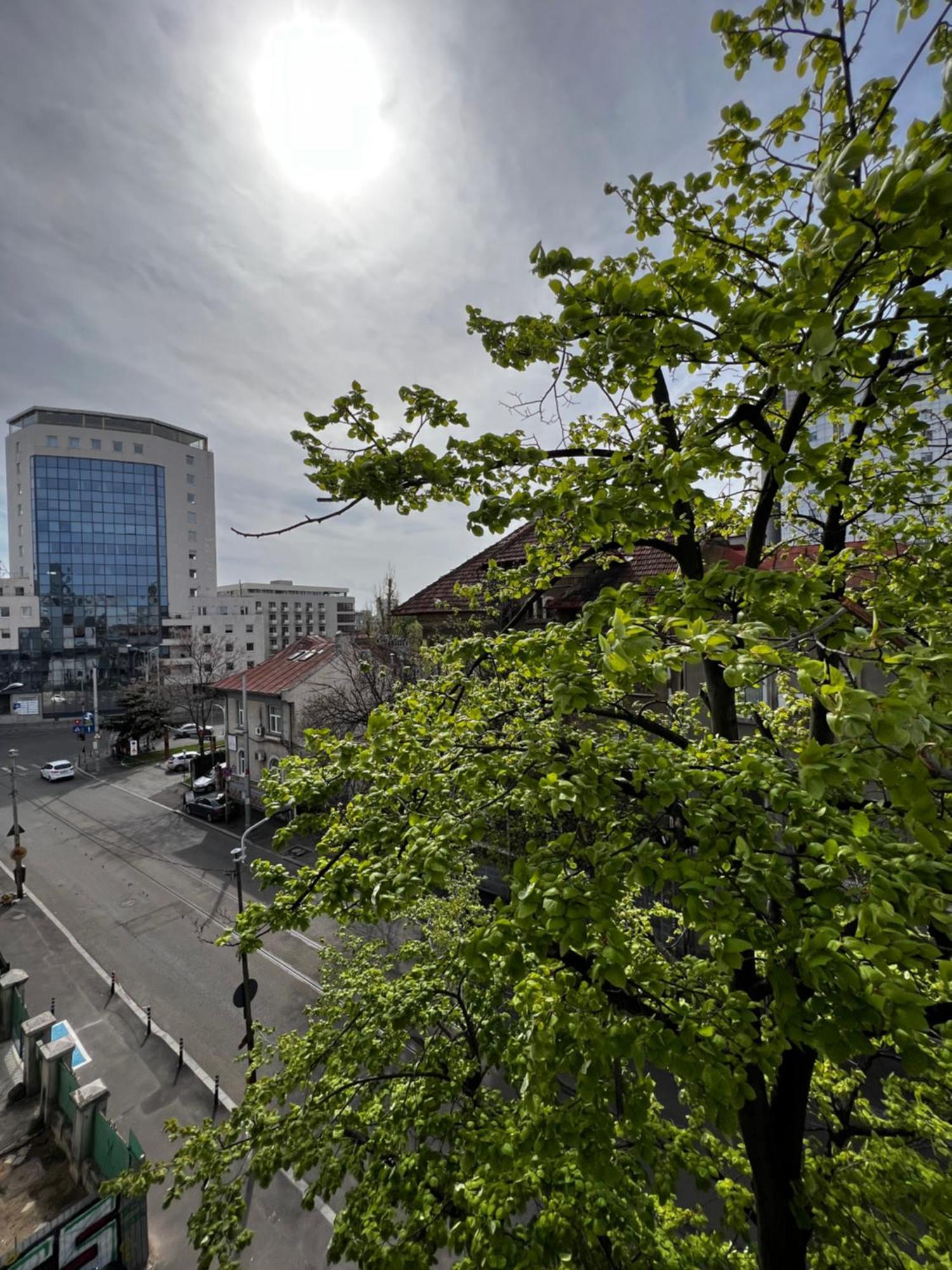 Town Spot - Premium - Sanador Victoriei Apartment Bucharest
