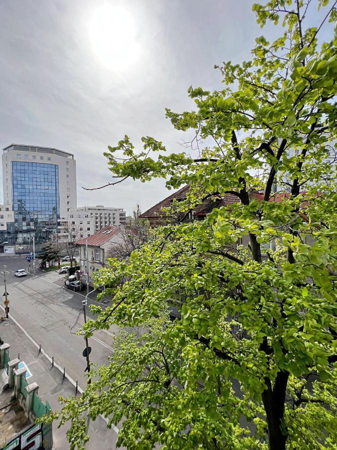 Town Spot - Premium - Sanador Victoriei * Bucarest